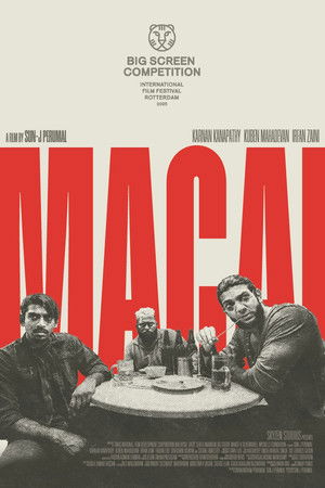 Macai poszter