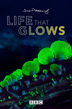 Attenborough's Life That Glows poszter