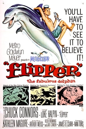 Flipper poszter