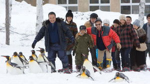 旭山動物園物語 ペンギンが空をとぶ háttérkép