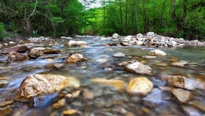 La Rivière háttérkép