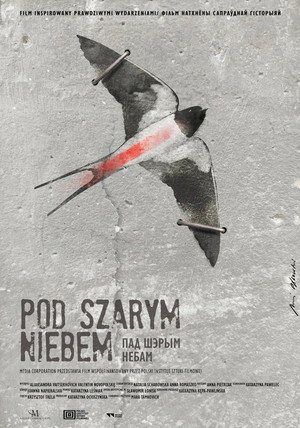 Pod szarym niebem poszter