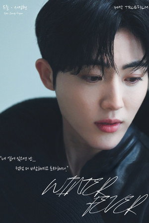 윈터 피버 poszter