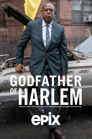 Godfather of Harlem poszter