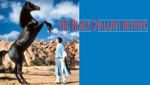 The Black Stallion Returns háttérkép