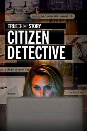 True Crime Story: Citizen Detective poszter