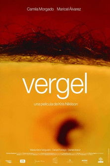 Vergel poszter