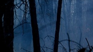 The Legend of Boggy Creek háttérkép