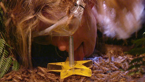 I'm a Celebrity...Get Me Out of Here! Season 19 Ep.19 19. epizód