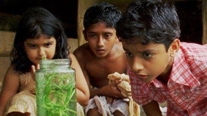 മഞ്ചാടിക്കുരു háttérkép
