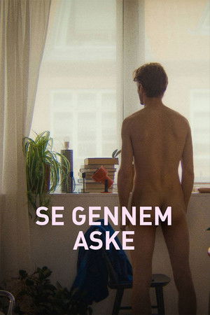 Se gennem Aske poszter
