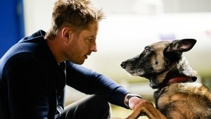 A nyomozó 2. évad Ep.7 Man's Best Friend