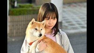 今日のさんぽんた 1. évad Ep.4 4. epizód