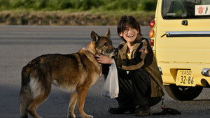 少年と犬 háttérkép