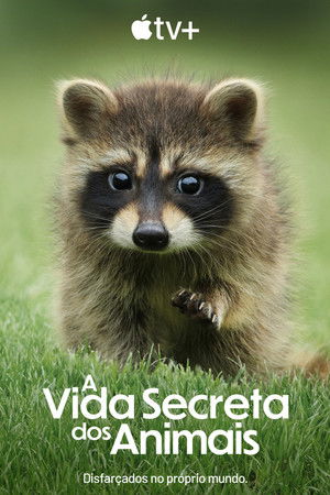 Az állatok titkos élete poszter