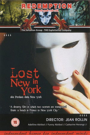 Perdues dans New York poszter