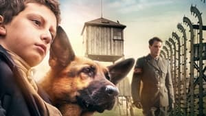 Shepherd: The Story of a Jewish Dog háttérkép