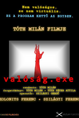 Valóság.exe poszter