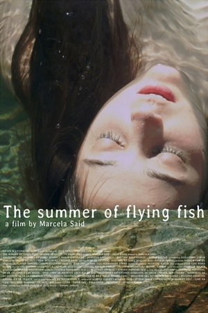 El verano de los peces voladores poszter