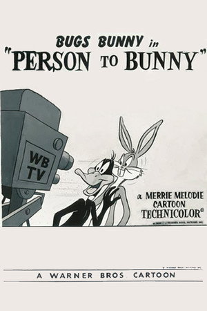 Person to Bunny poszter