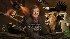 Legendás állatok: Tudományos tények háttérkép