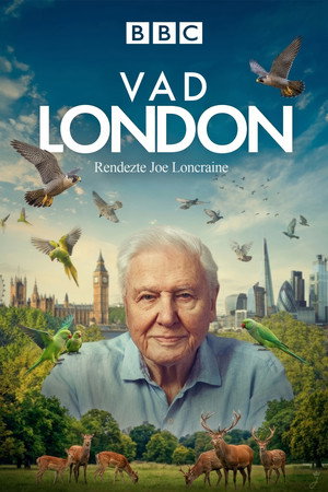 Vad London