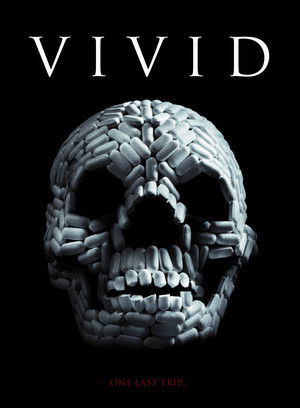 VIViD poszter