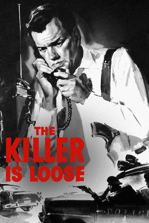 The Killer Is Loose poszter