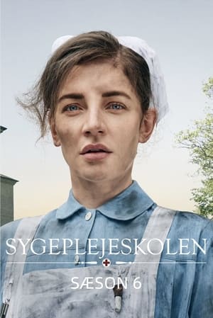 Sygeplejeskolen