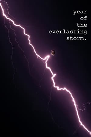 The Year of the Everlasting Storm poszter