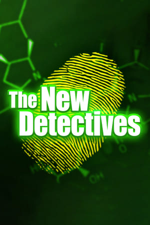 The New Detectives poszter