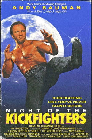 Night of the Kickfighters poszter