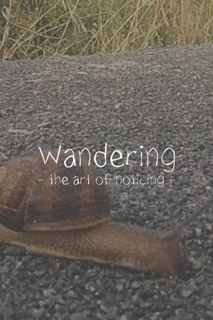 Wandering: The Art of Noticing poszter
