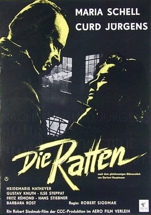 Die Ratten poszter