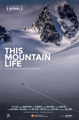 This Mountain Life poszter