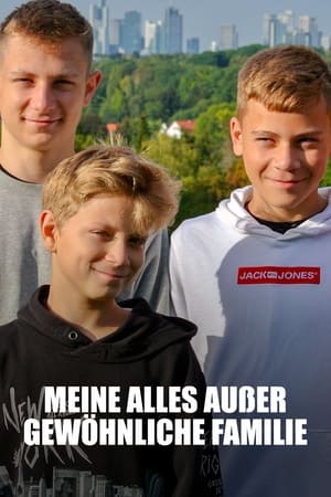 Meine alles außer gewöhnliche Familie