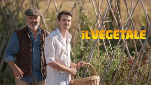 Il vegetale háttérkép