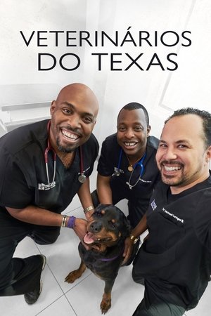 The Vet Life poszter