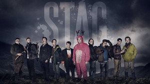 Stag kép