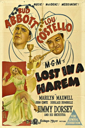 Lost in a Harem poszter