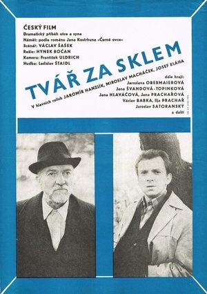Tvář za sklem poszter