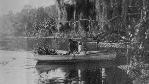 The Suwanee River háttérkép