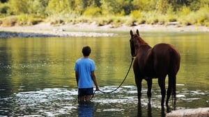 Lean on Pete háttérkép