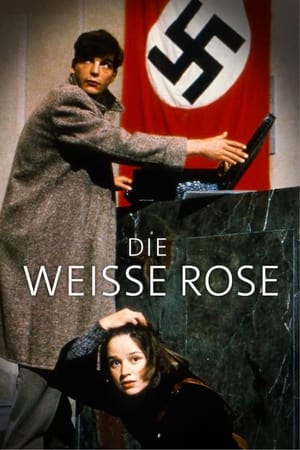 Die weiße Rose