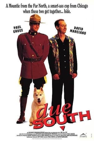 Due South poszter