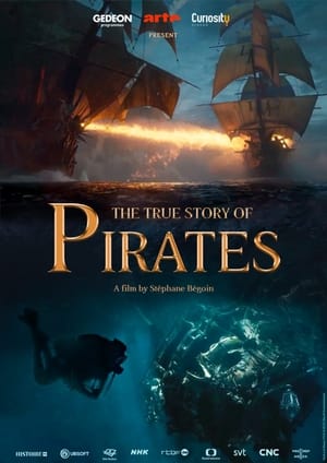 La véritable histoire des pirates poszter