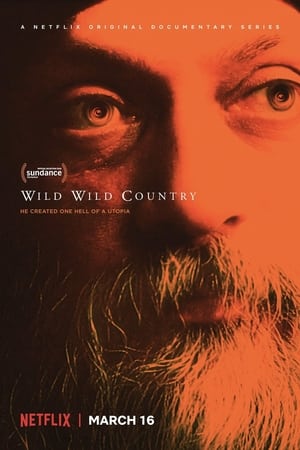 Wild Wild Country poszter