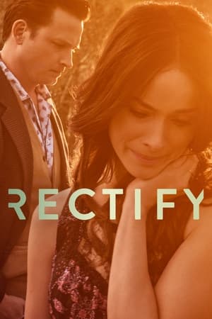 Rectify poszter