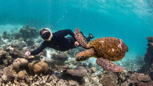 Ningaloo: Az ausztrál óceán csodája kép