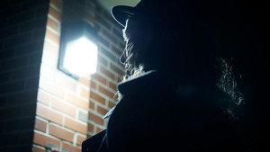 The Moonlight Detective háttérkép